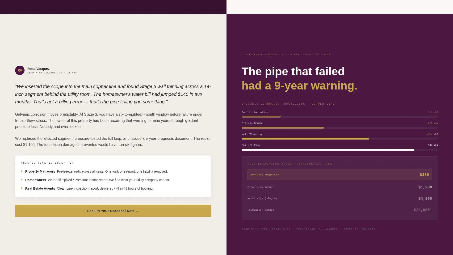 Plumber Seasonal Promotion Landing Page Template