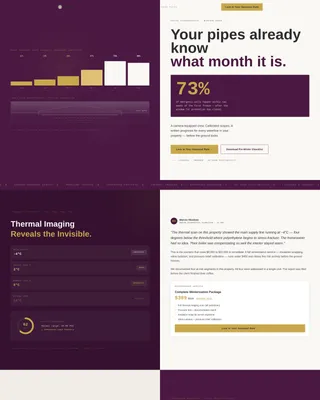 Plumber Seasonal Promotion Landing Page Template