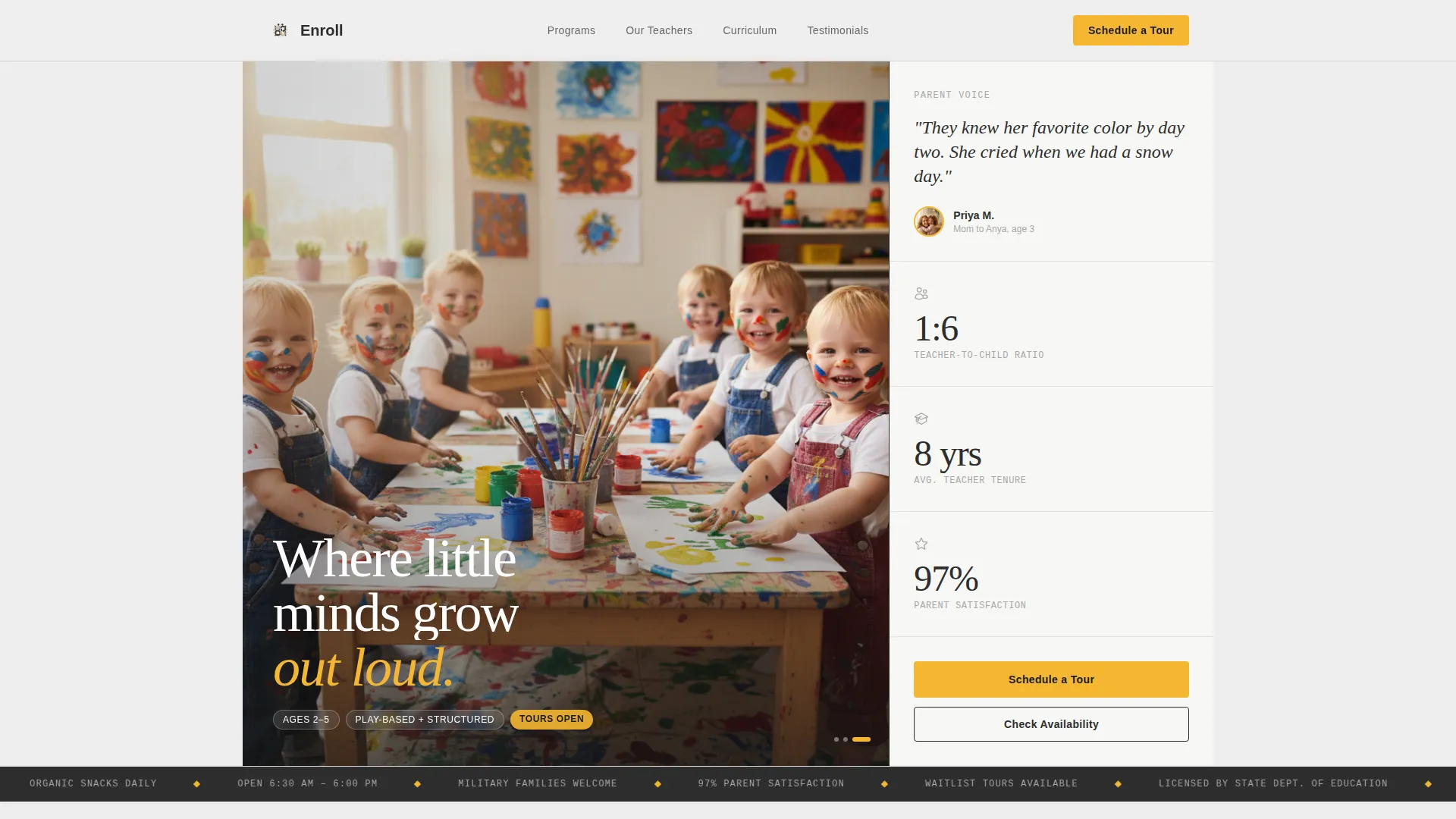 Expert Preschool Development Landing Page Template