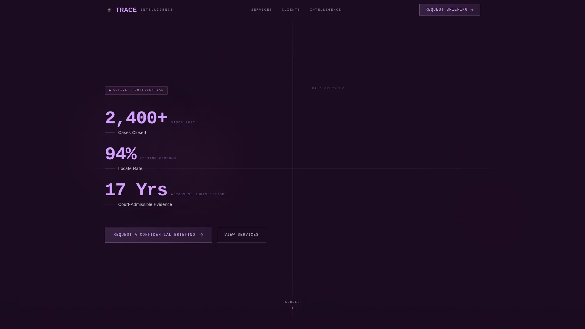 Professional Private Investigation Landing Page Template