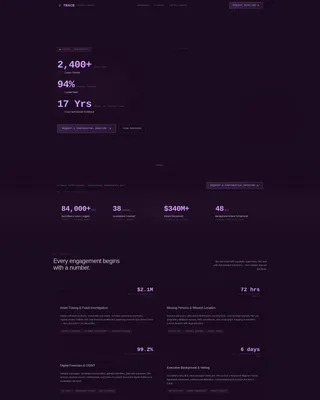 Professional Private Investigation Landing Page Template