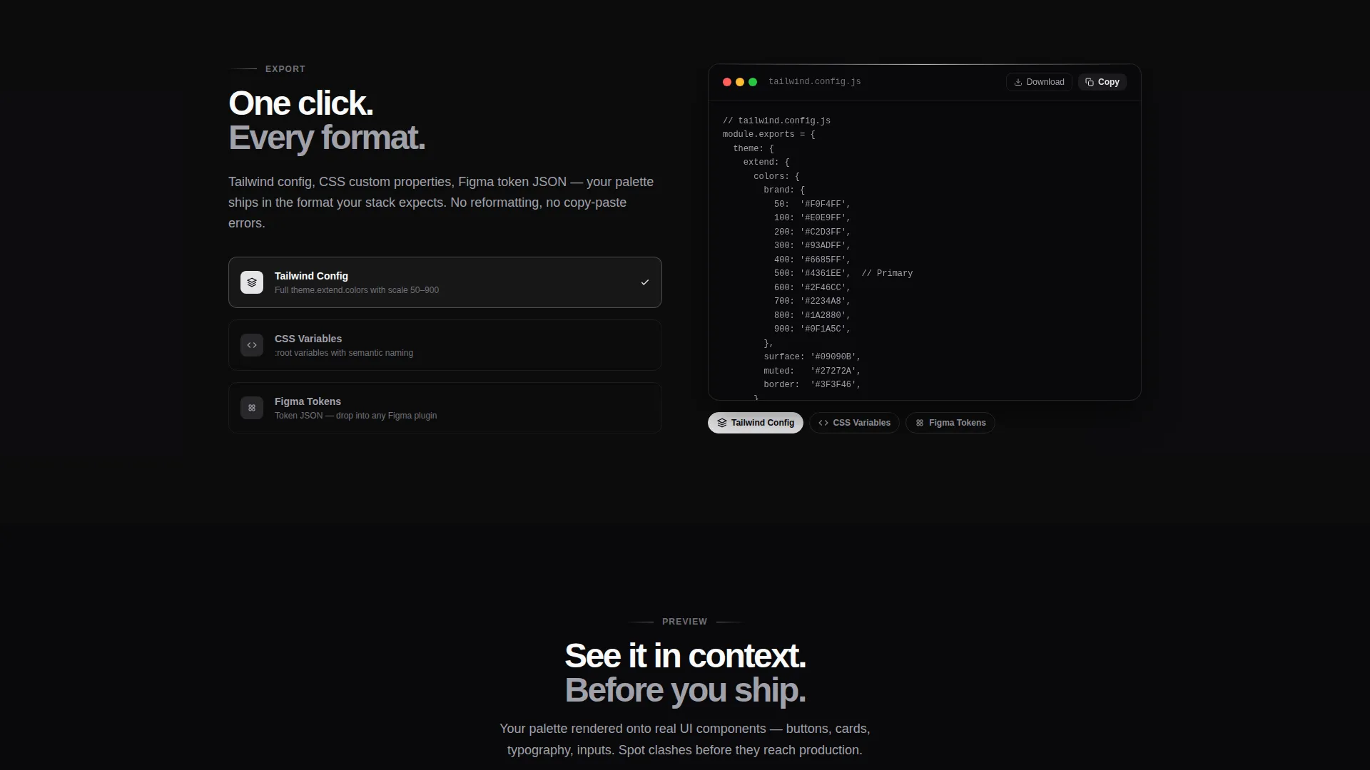 Micro-SaaS & Developer Tools Specialist Professional Website Template
