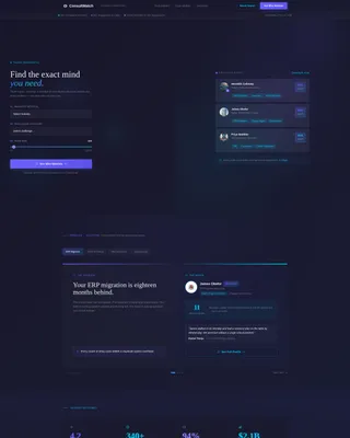 Consultant Matching & Diagnostic Estimator Website Template