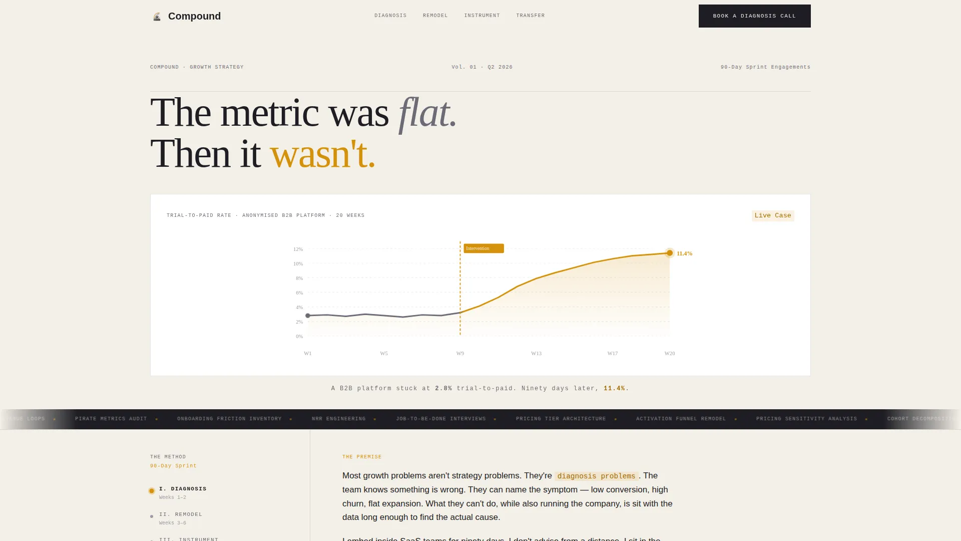 SaaS Consulting Portfolio Website Template
