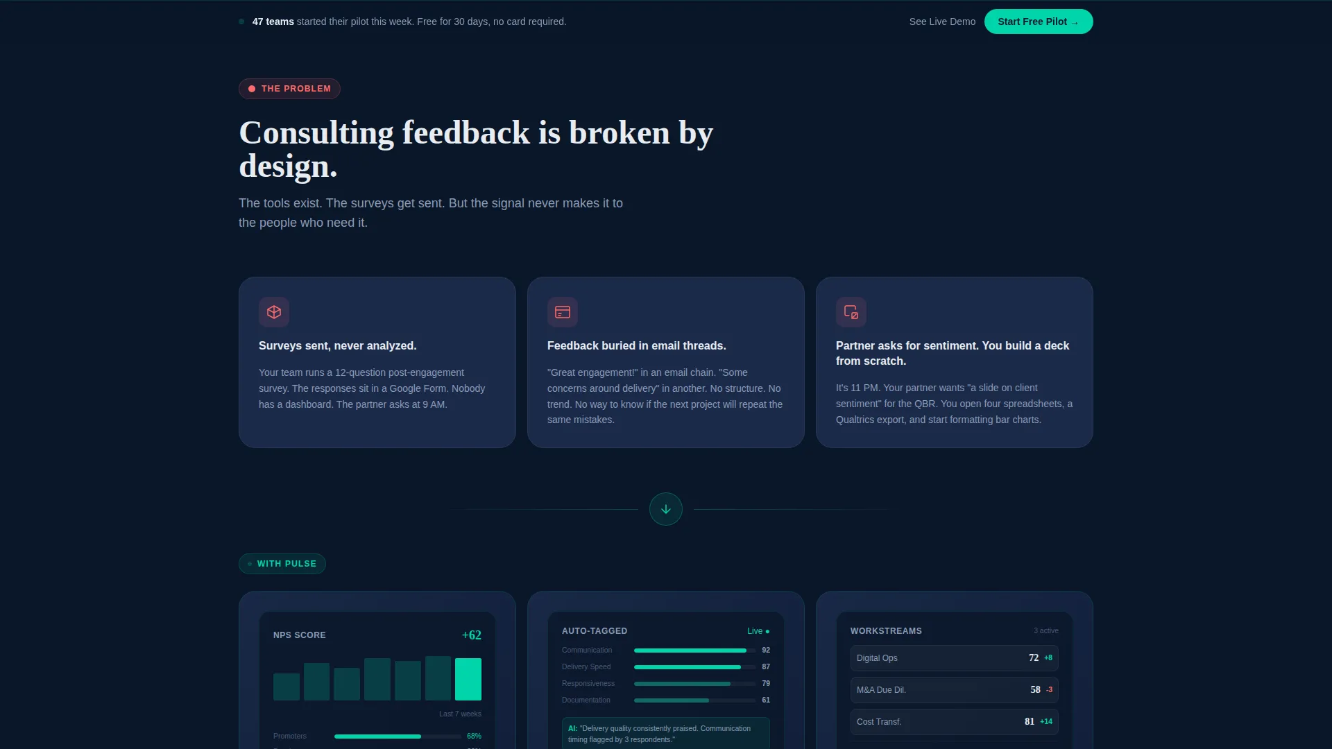 Certified Consulting Firm Software Professional Website Template