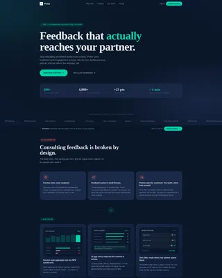 Certified Consulting Firm Software Professional Website Template