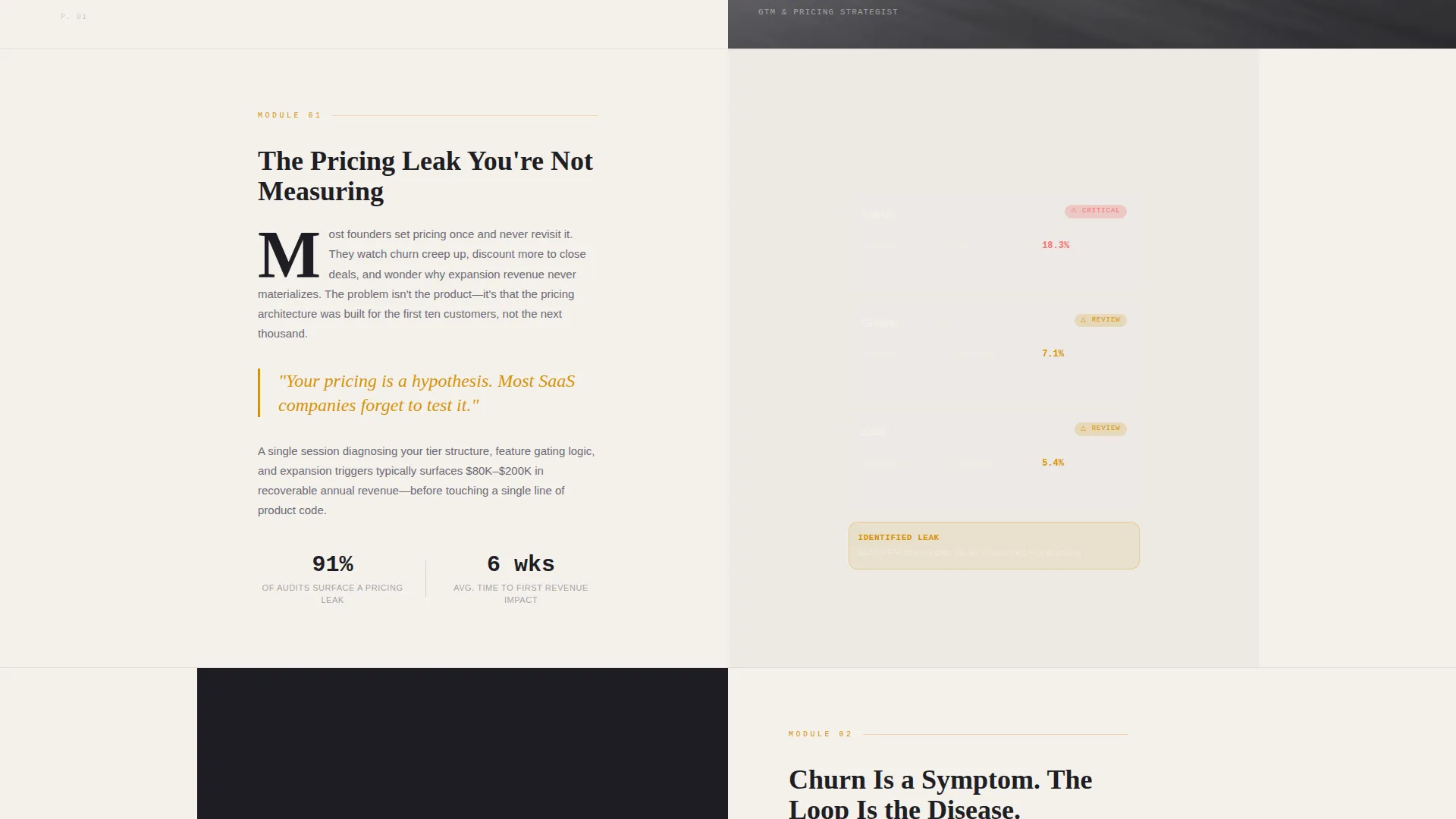 SaaS Consulting Booking Website Template