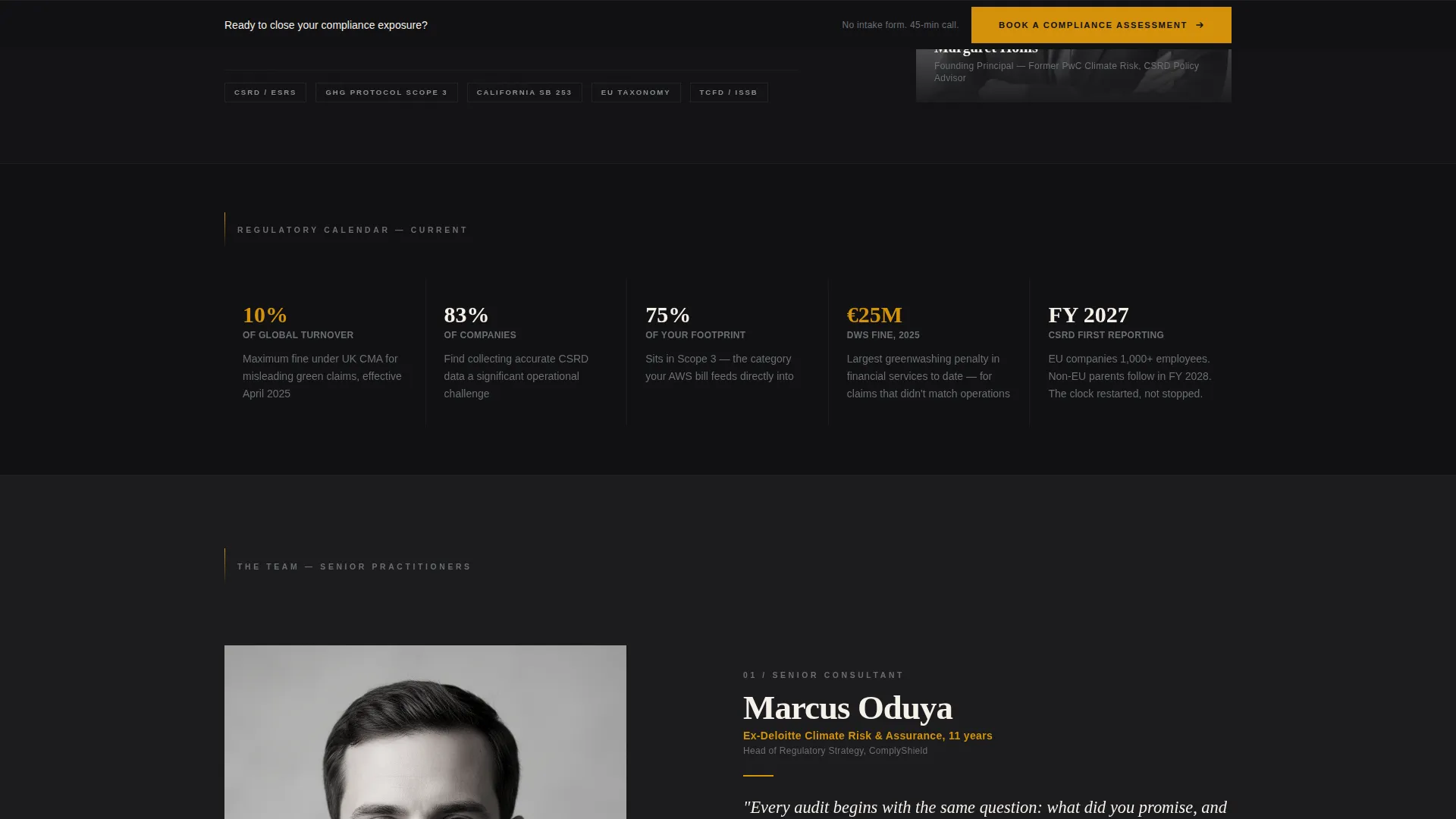 SaaS Consulting Professional Website Template
