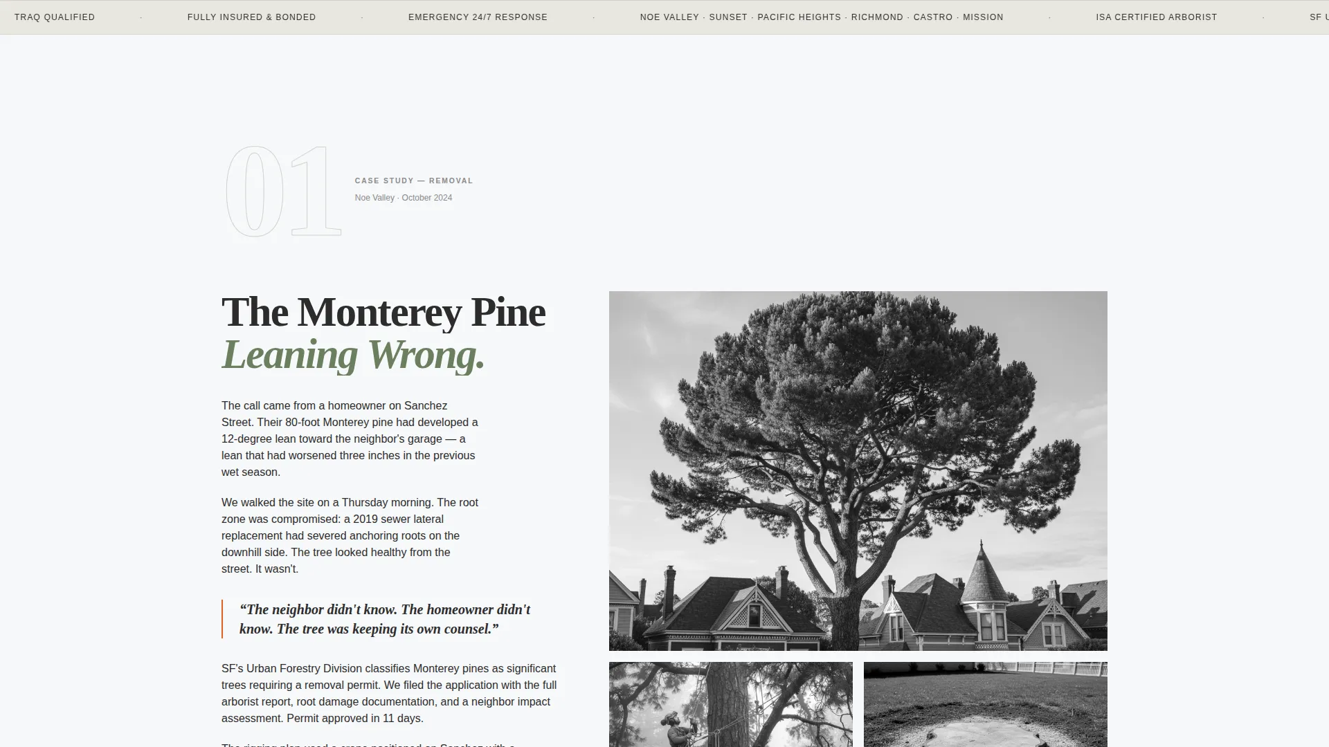 Verified Forestry Contractor | Free Website Template | Rocket