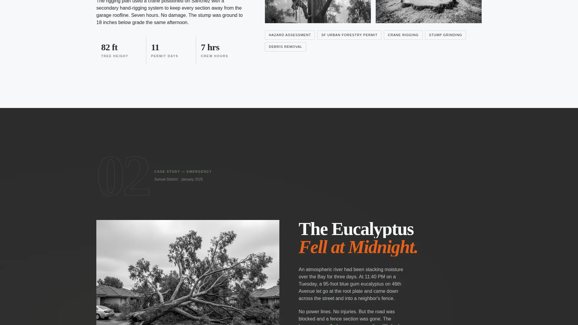 Verified Forestry Contractor | Free Website Template | Rocket