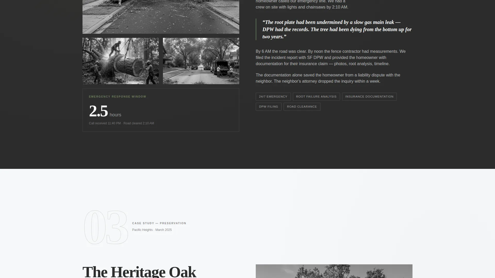Verified Forestry Contractor | Free Website Template | Rocket