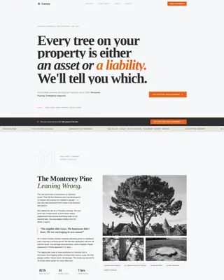 Verified Forestry Contractor | Free Website Template | Rocket