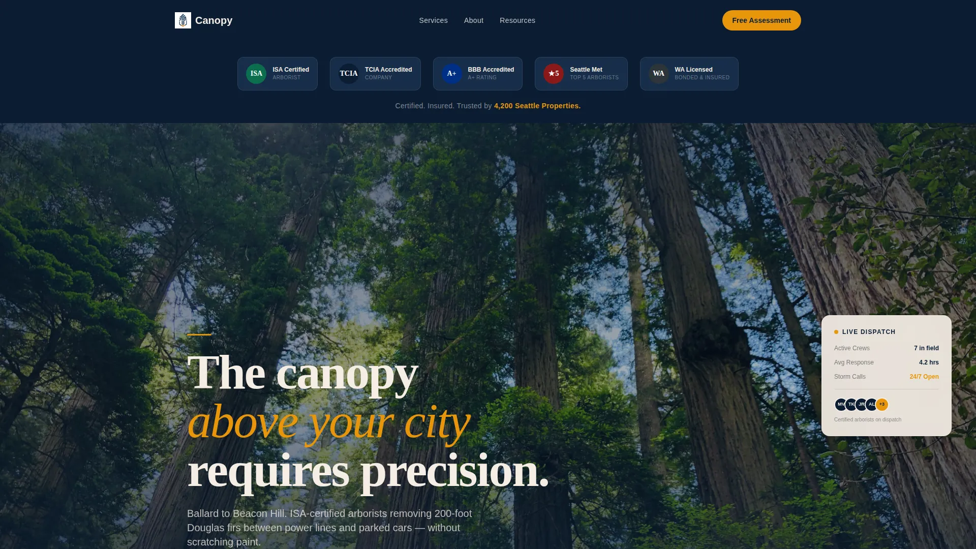 Licensed Tree Care | Free Website Template | Rocket