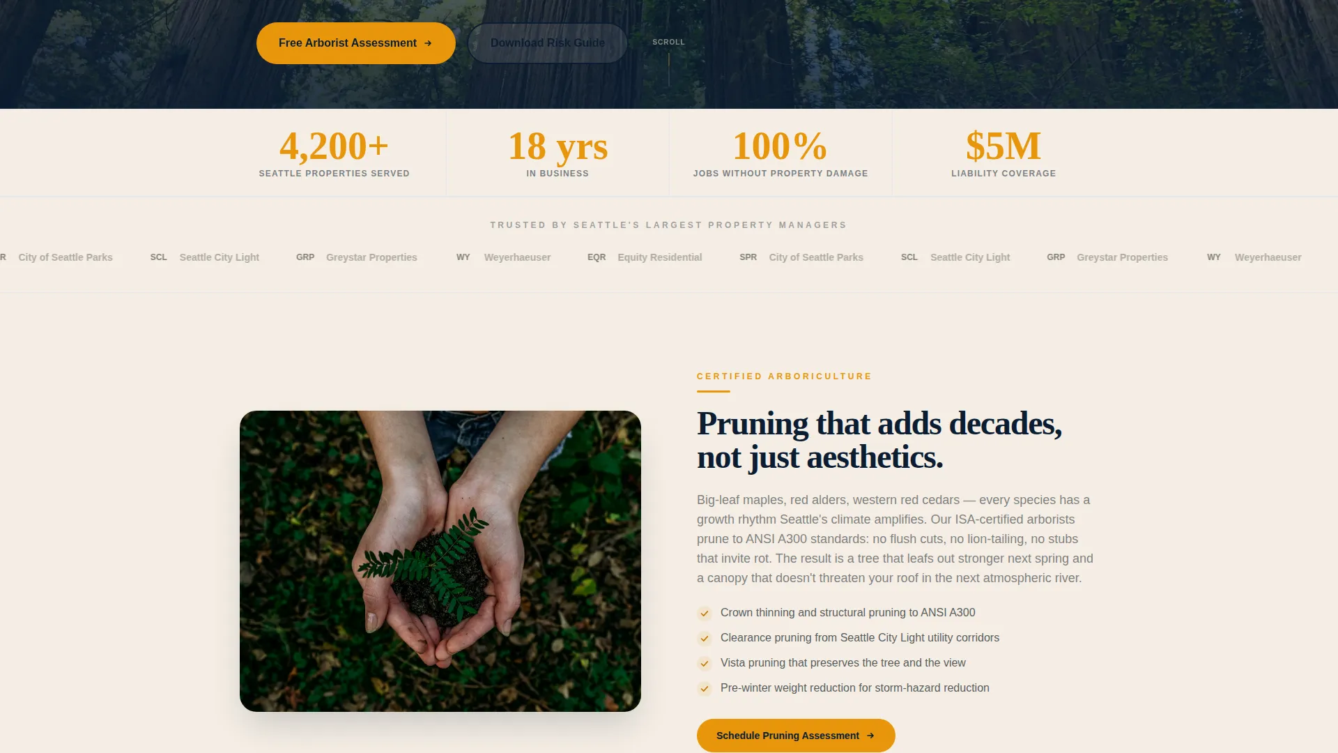 Licensed Tree Care | Free Website Template | Rocket