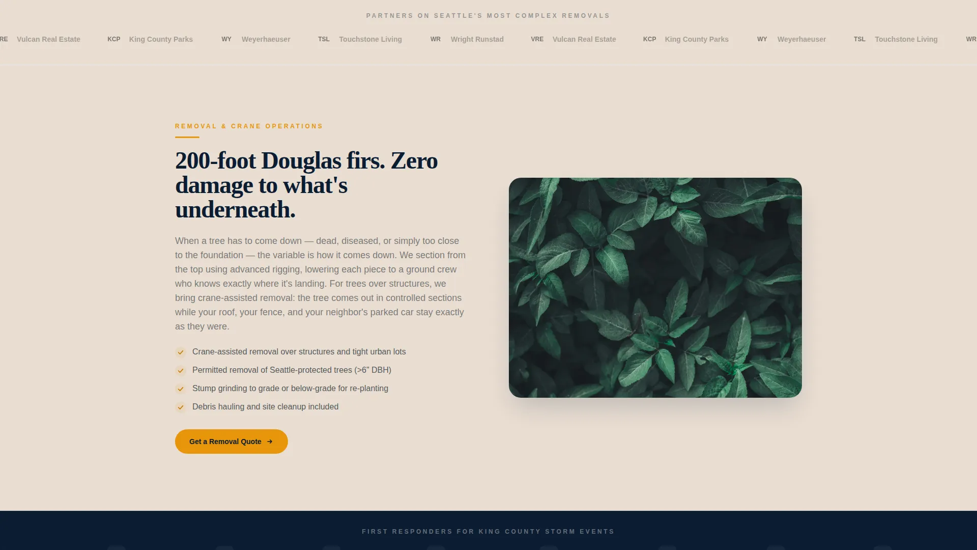 Licensed Tree Care | Free Website Template | Rocket