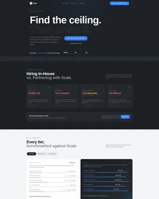 D2C Growth Consultancy Landing Page Template