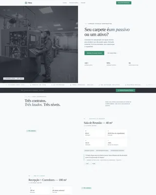 Corporate Carpet Cleaning Landing Page Template