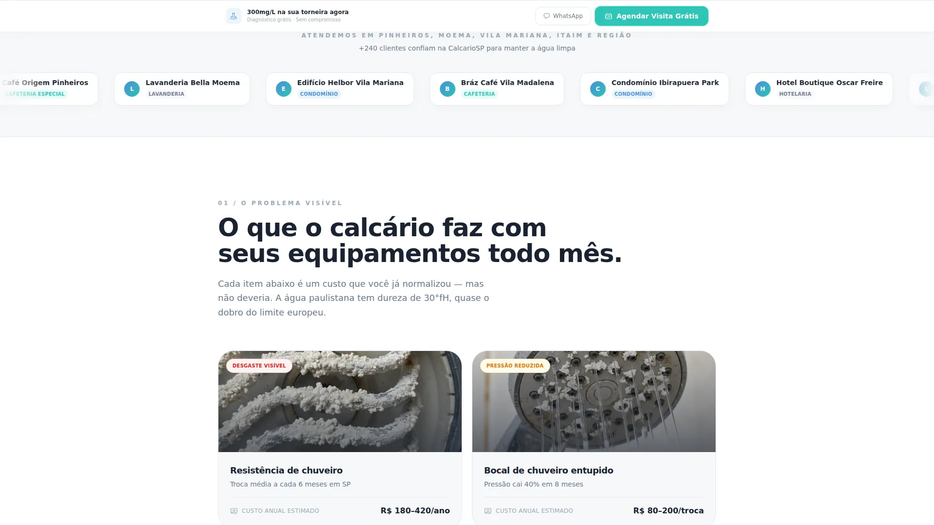 Water Softener Landing Page Template for São Paulo