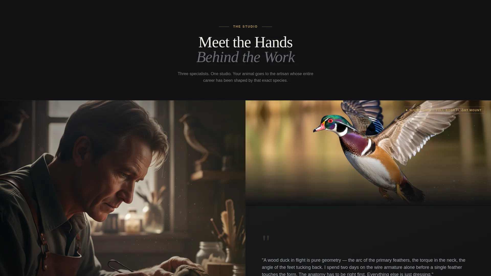 Taxidermist Landing Page Template for Lead Generation
