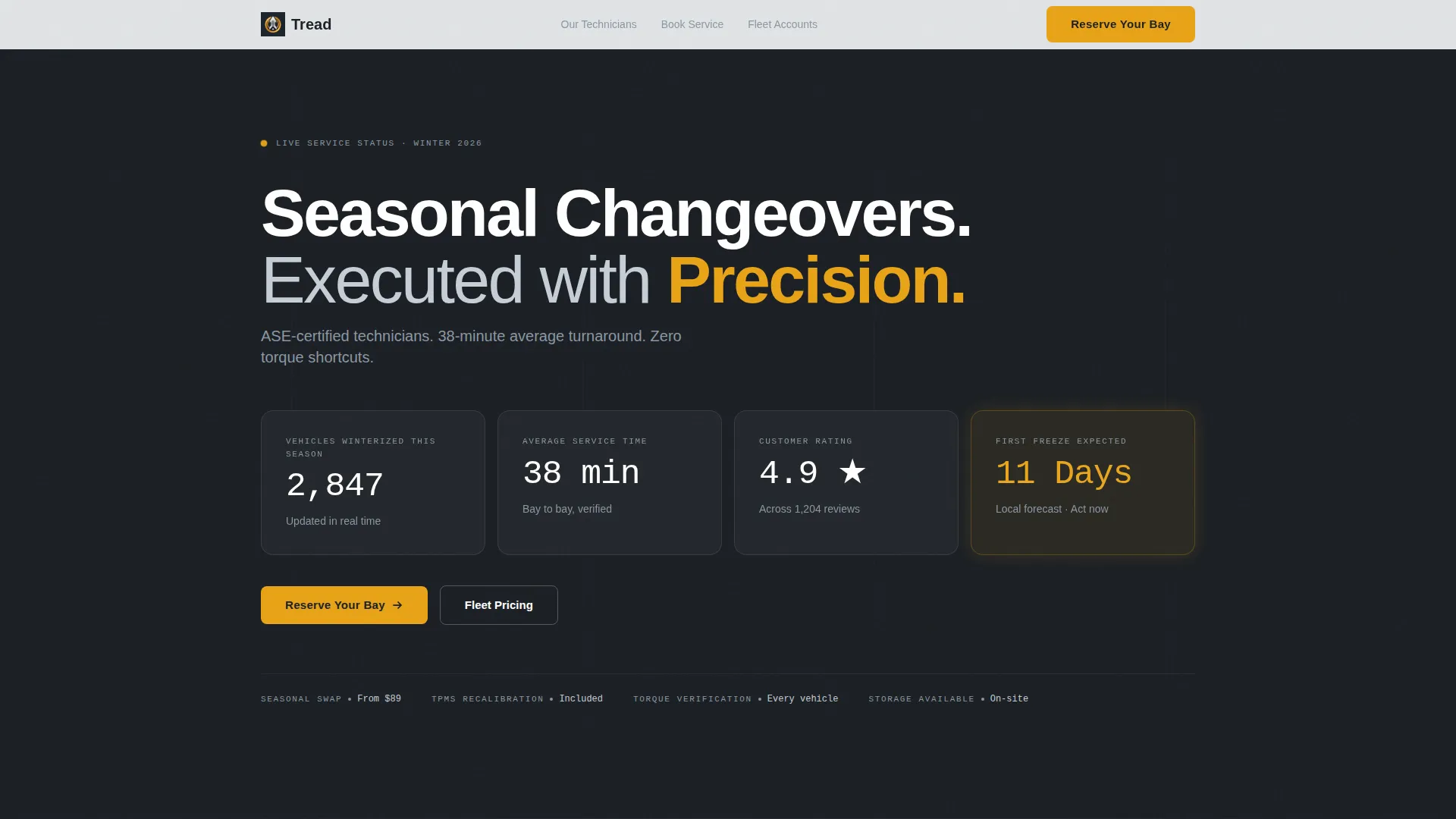 Seasonal Tire Shop Landing Page Template