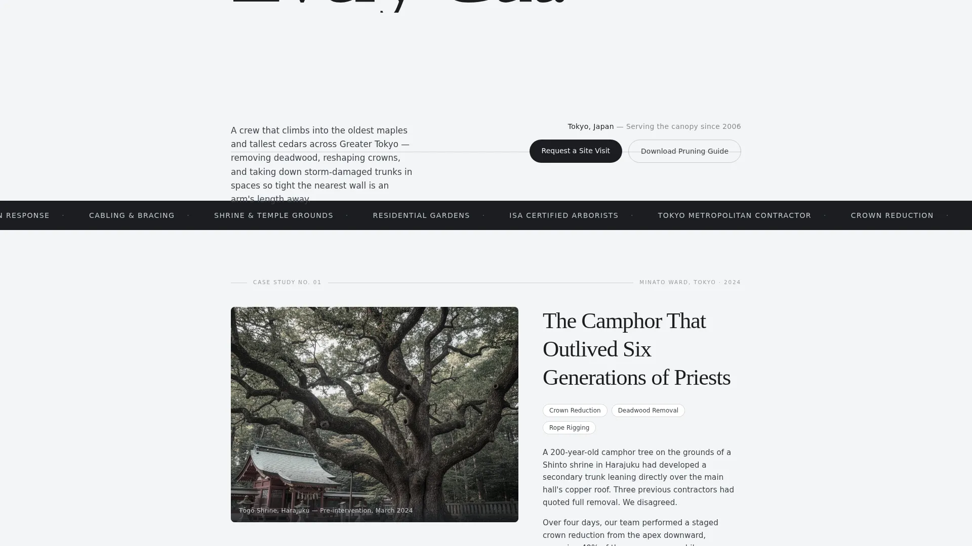 Proven Woodland Management | Free Website Template | Rocket