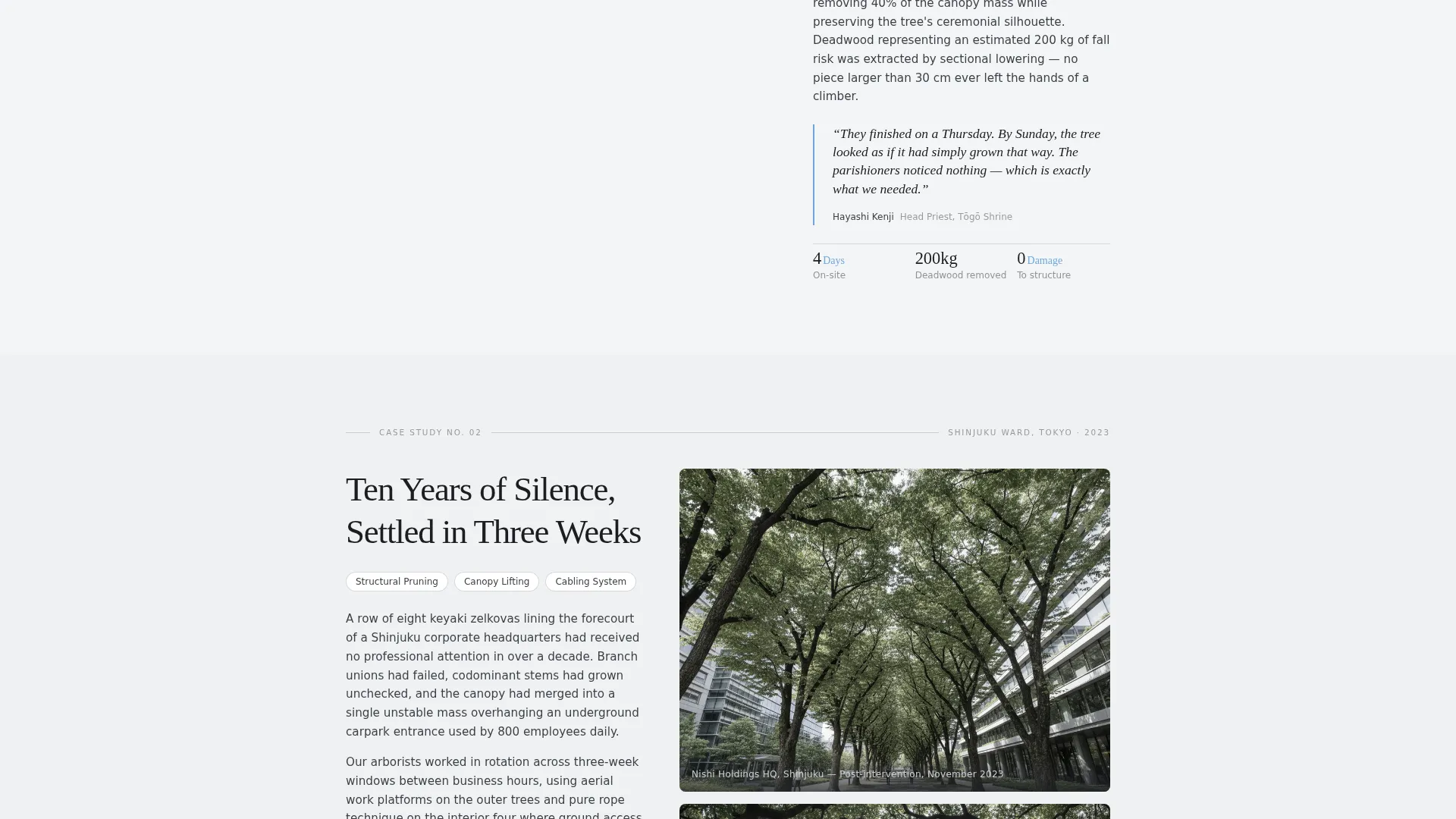 Proven Woodland Management | Free Website Template | Rocket