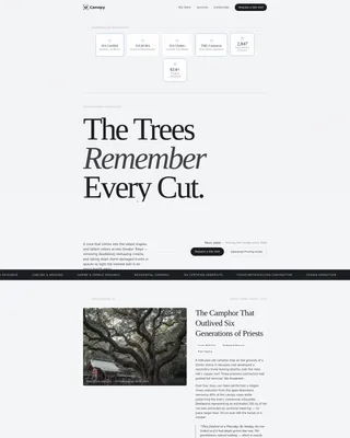 Proven Woodland Management | Free Website Template | Rocket