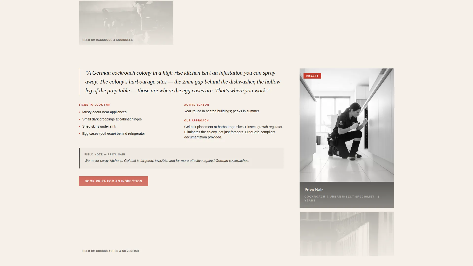 Proven Pest Control | Free Website Template | Rocket