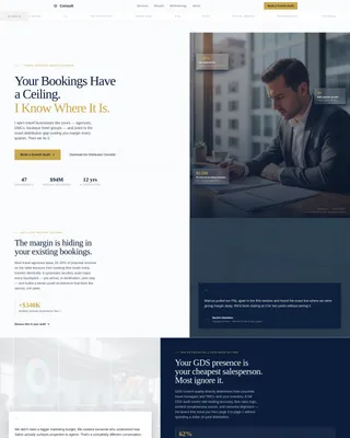 Travel Consulting Specialist Booking Website Template