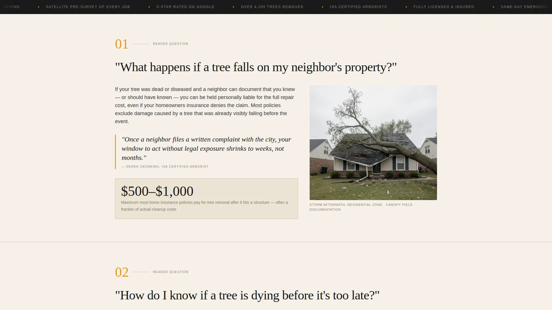 Tree Service Landing Page Template - Editorial Design