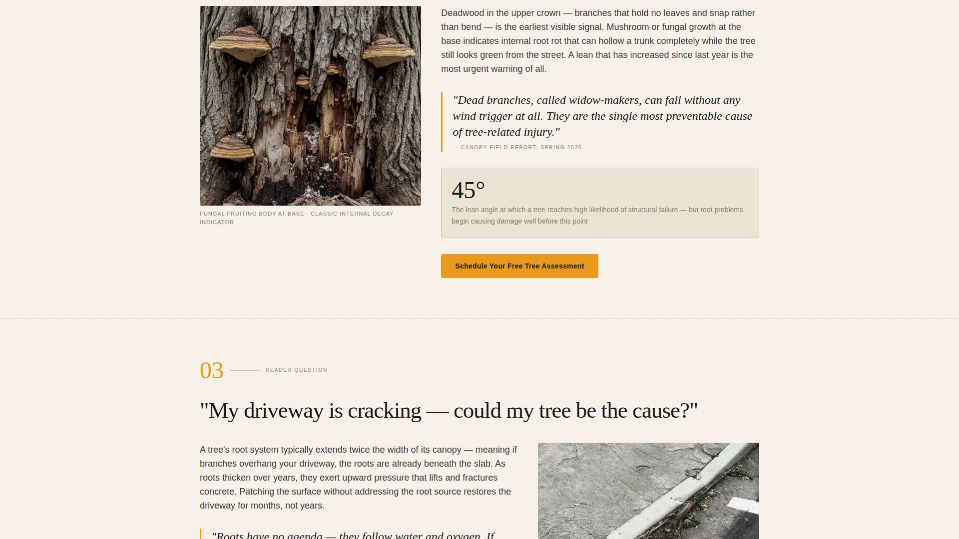Tree Service Landing Page Template - Editorial Design
