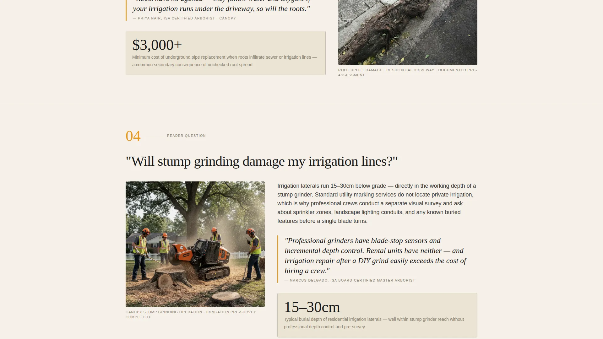 Tree Service Landing Page Template - Editorial Design