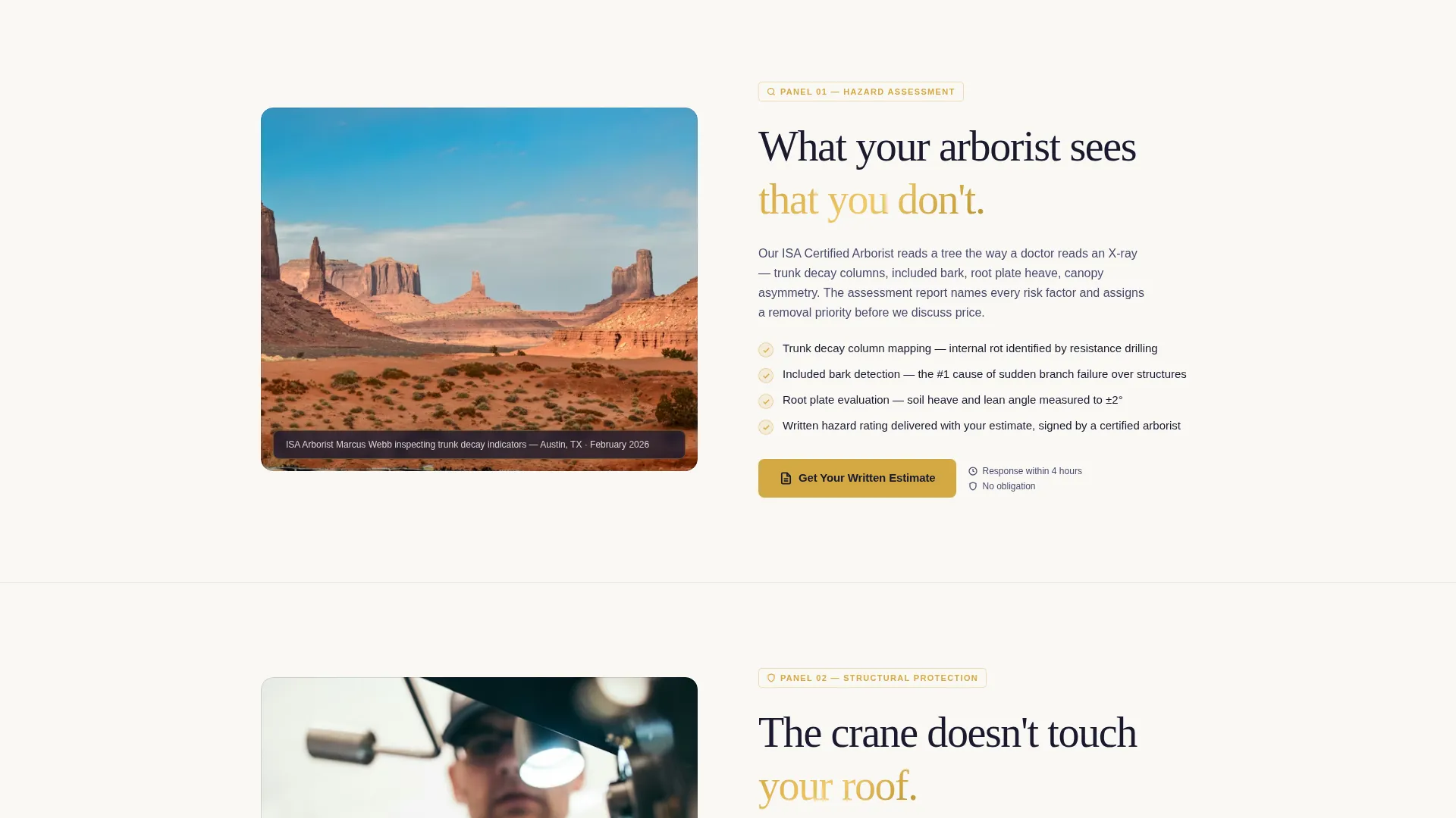 Tree Service Marketing Specialist Professional Website Template
