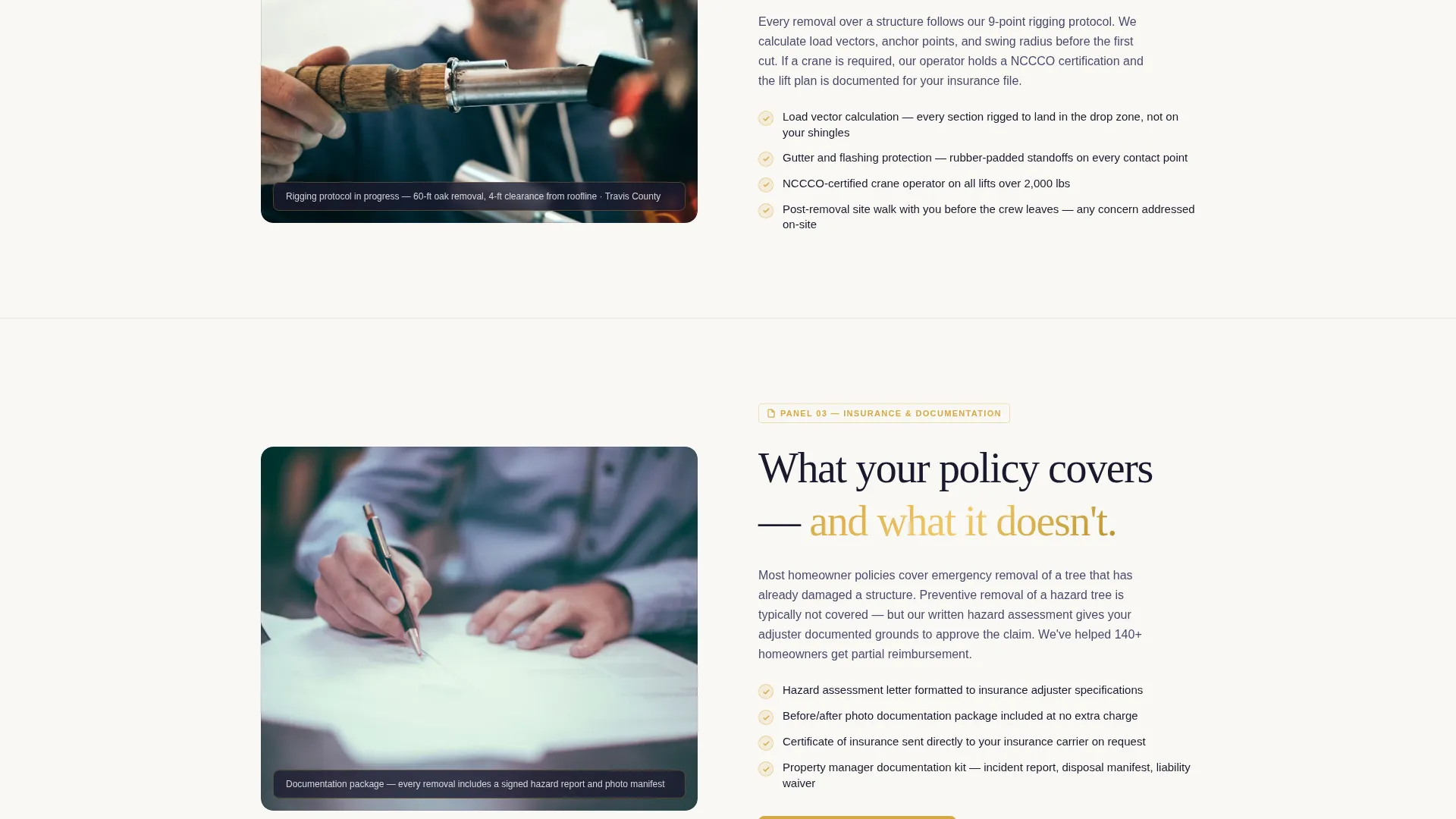 Tree Service Marketing Specialist Professional Website Template