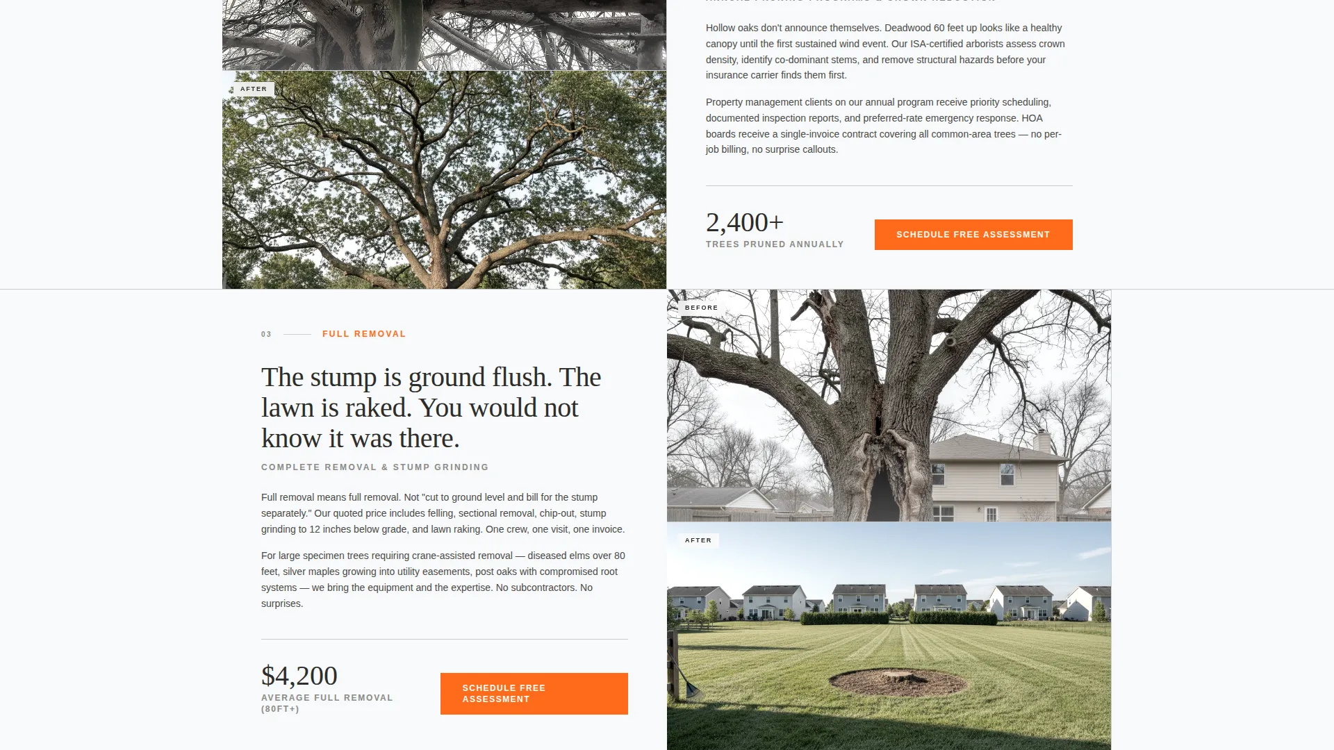 Tree Service Landing Page Template for Seasonal Promos