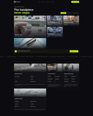 Modern Dental Team & Credentials Showcase Website Template