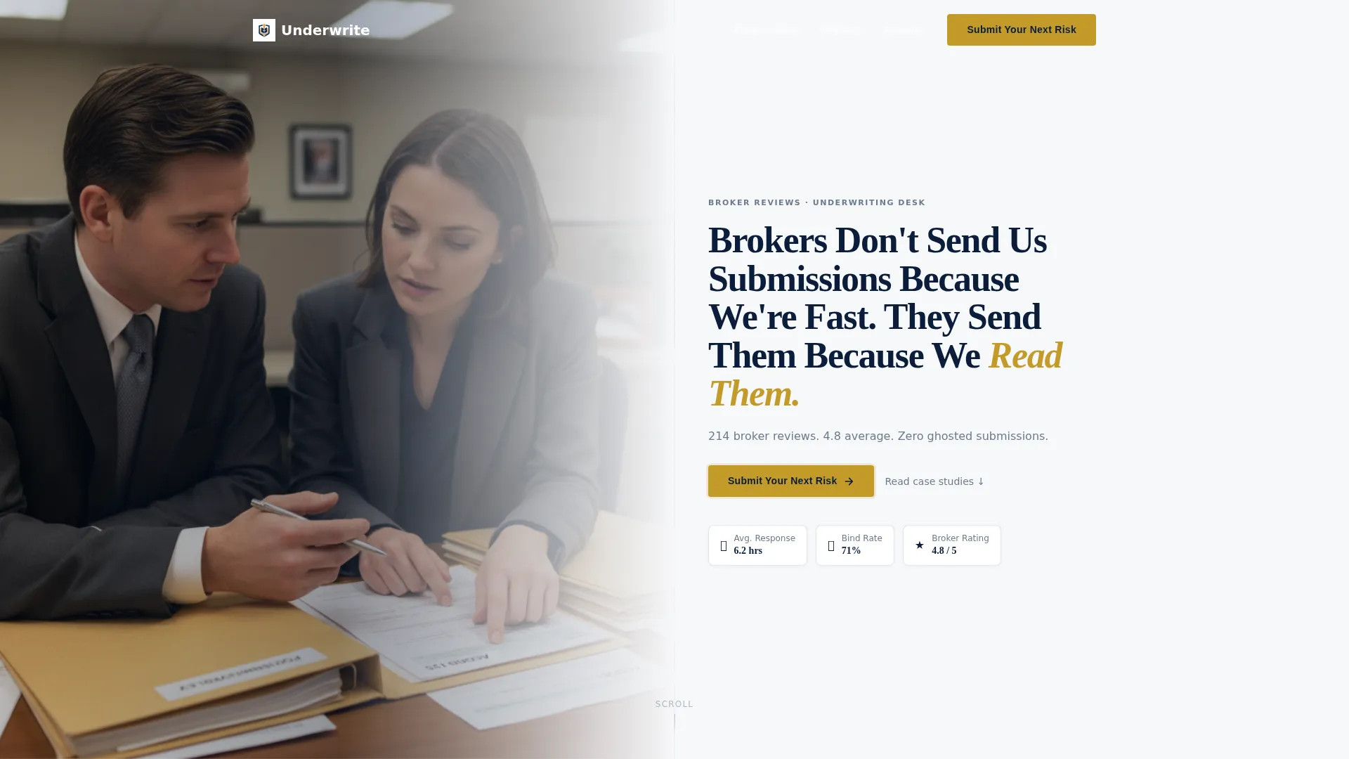 Underwriter Reviews Website Template