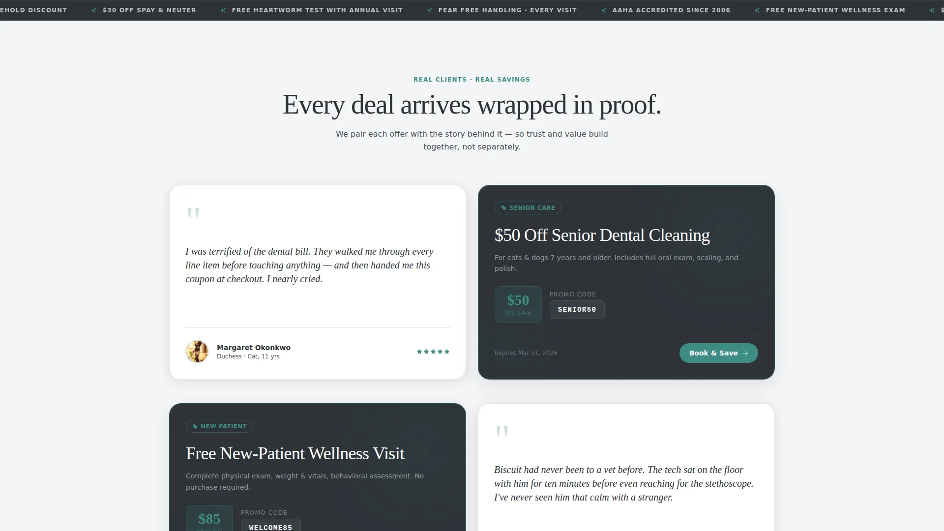 Veterinary Clinic Marketing Specialist Booking Website Template