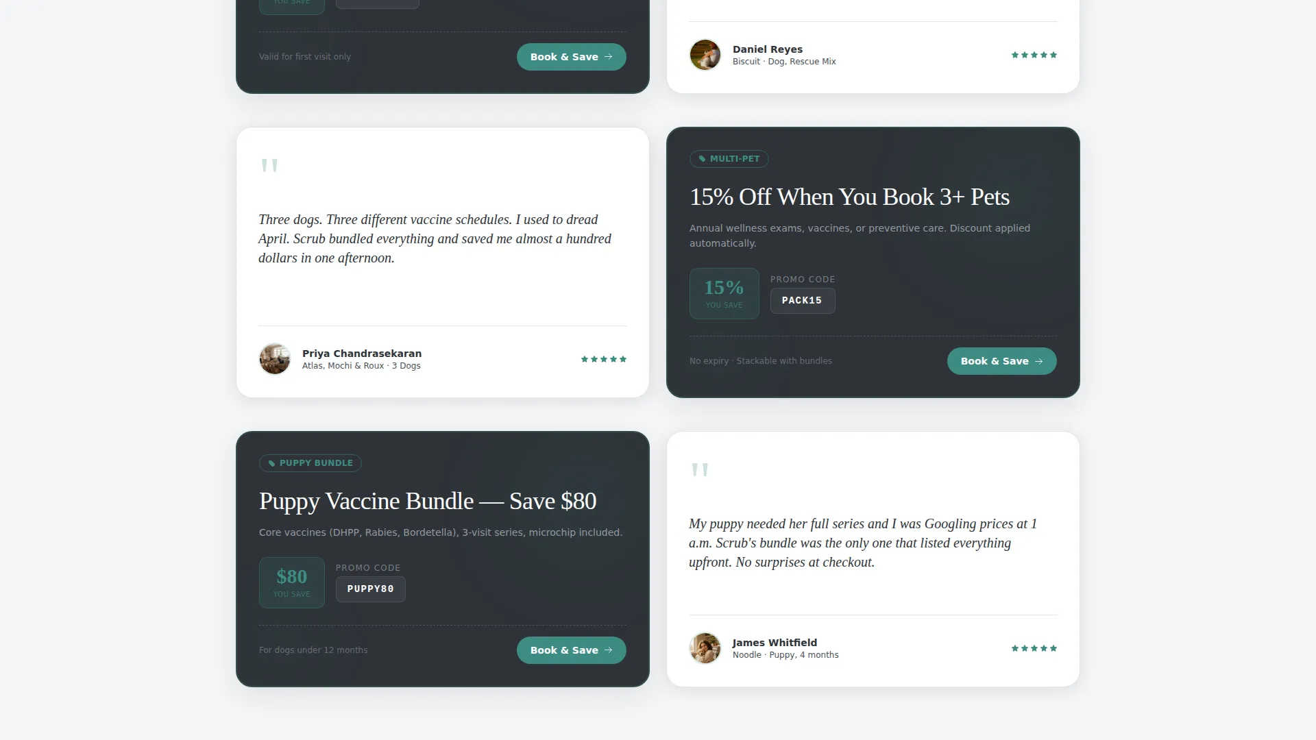 Veterinary Clinic Marketing Specialist Booking Website Template