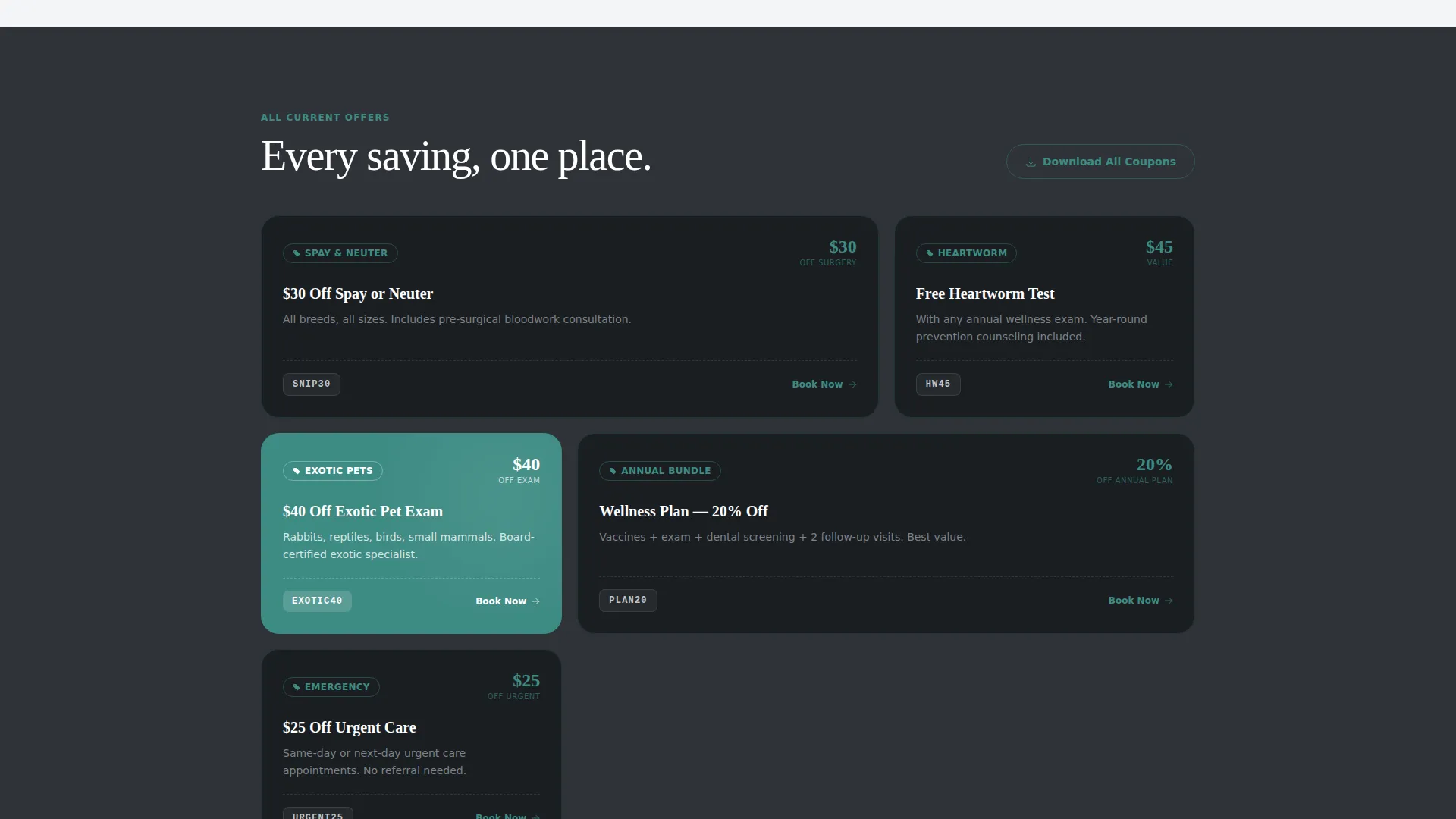 Veterinary Clinic Marketing Specialist Booking Website Template