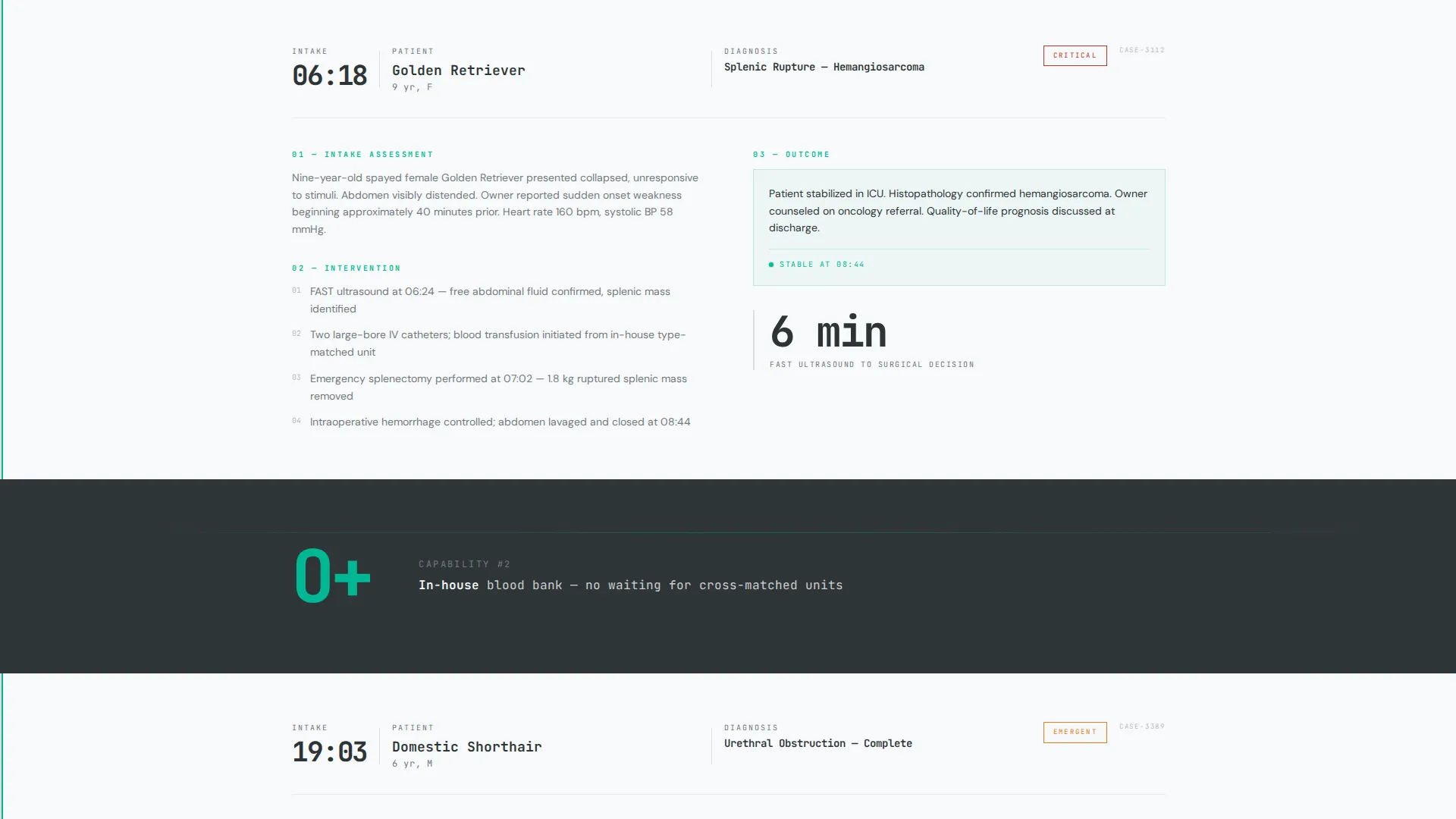 Veterinary Clinic Marketing Professional Website Template
