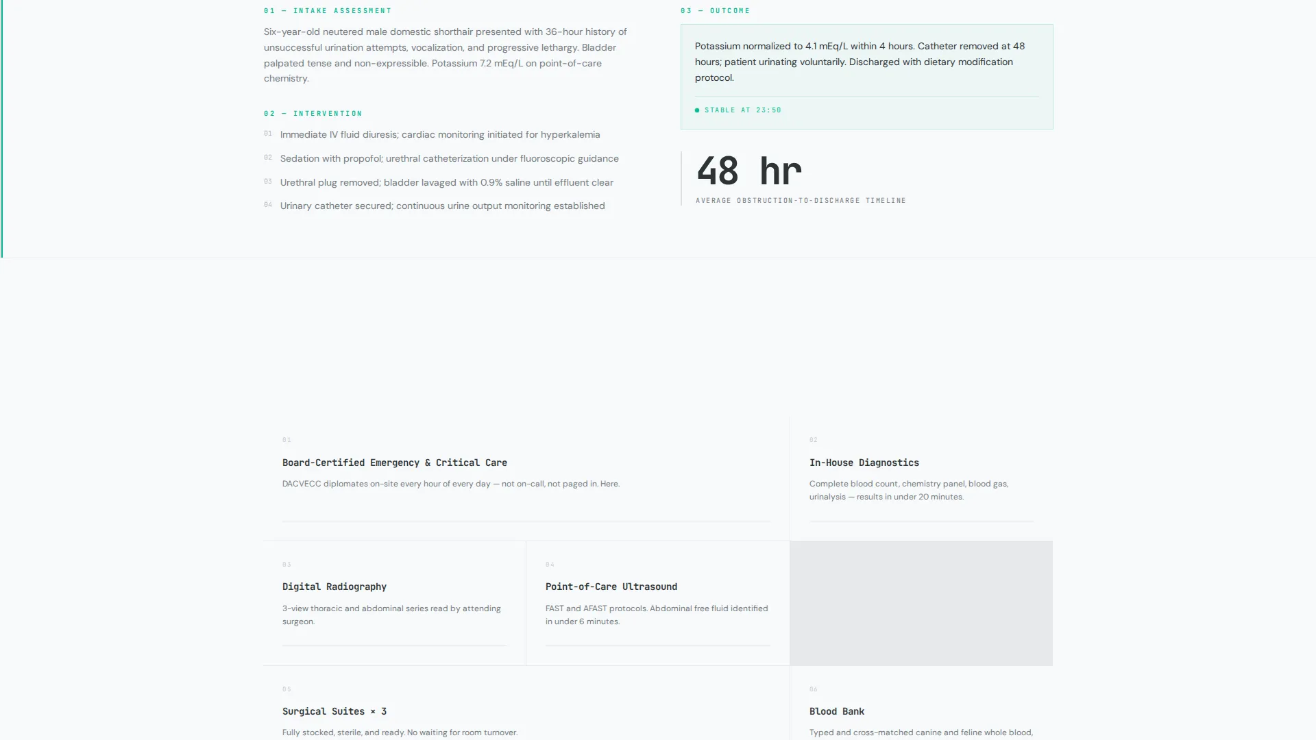 Veterinary Clinic Marketing Professional Website Template
