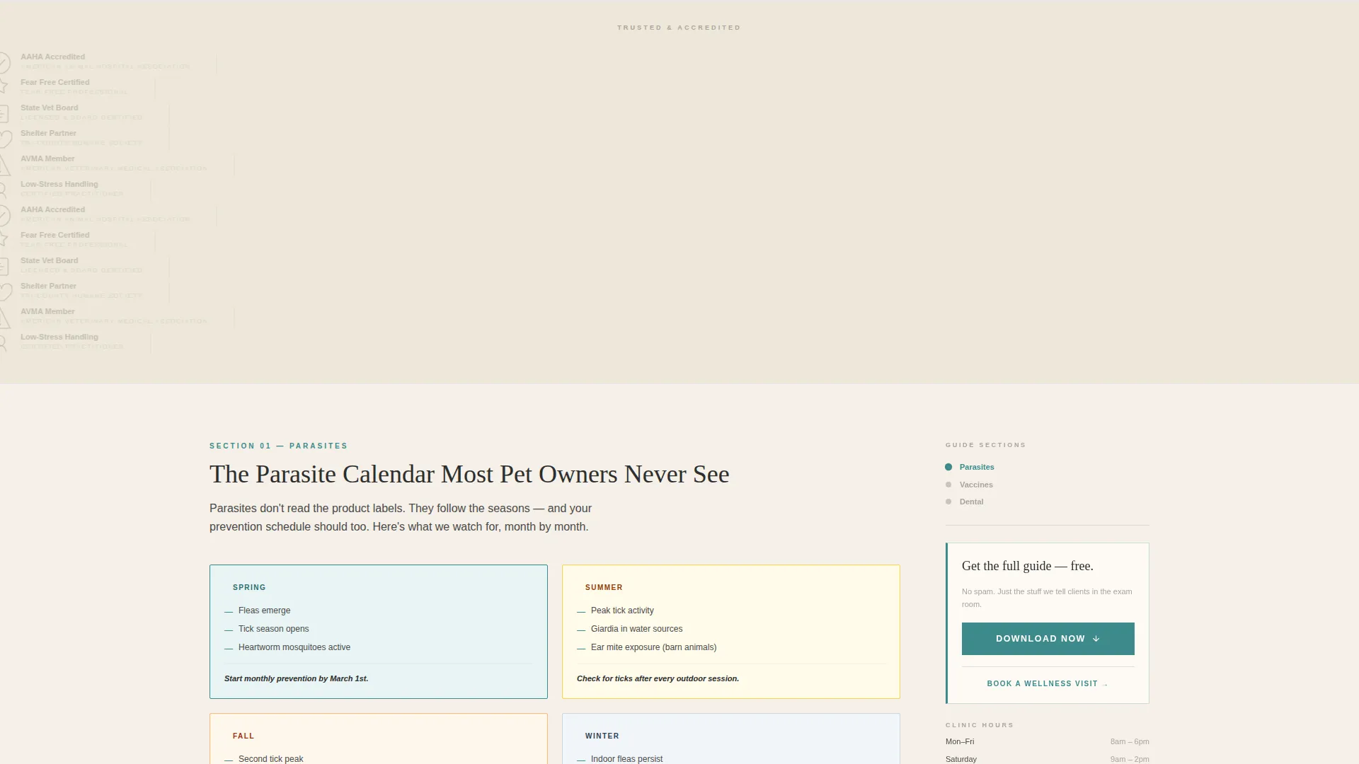 Veterinary Clinic Marketing Education Website Template