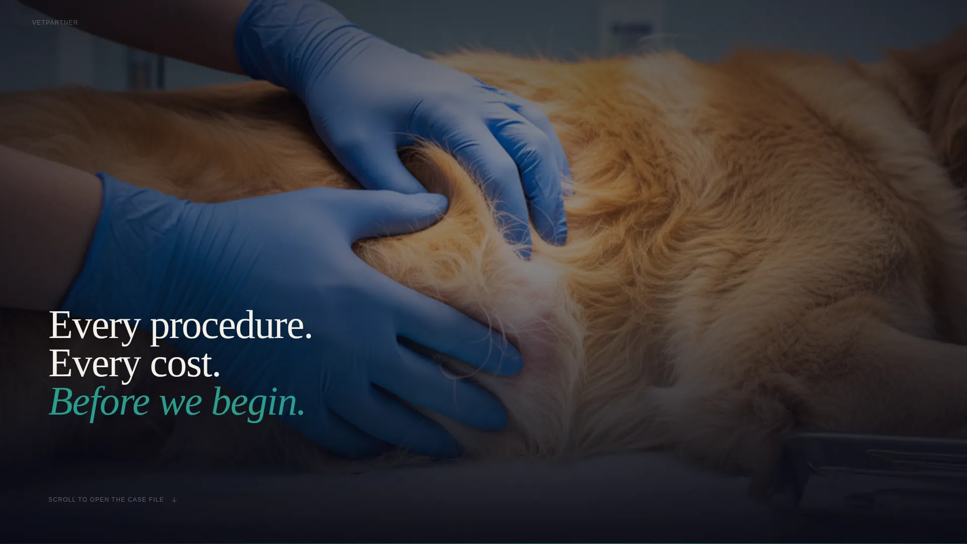 Veterinary Clinic Marketing Directory Website Template