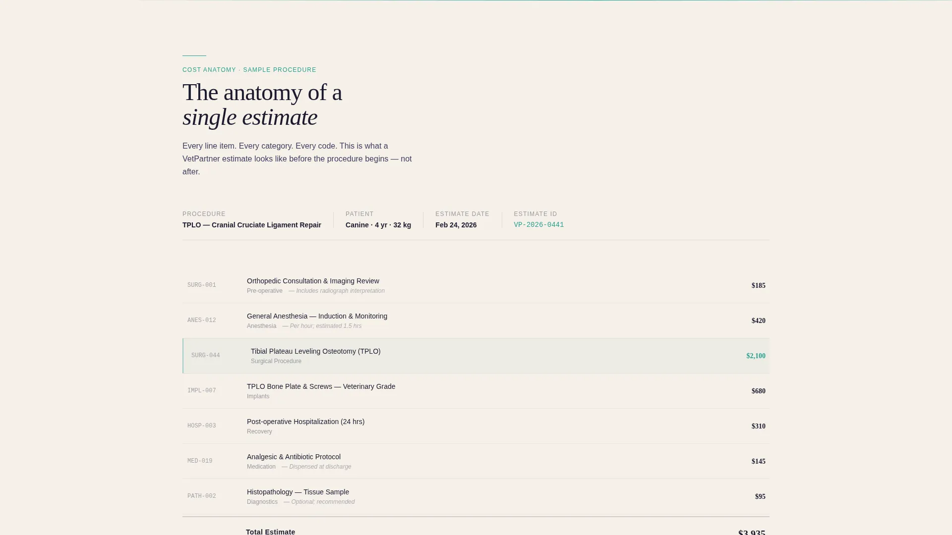 Veterinary Clinic Marketing Directory Website Template