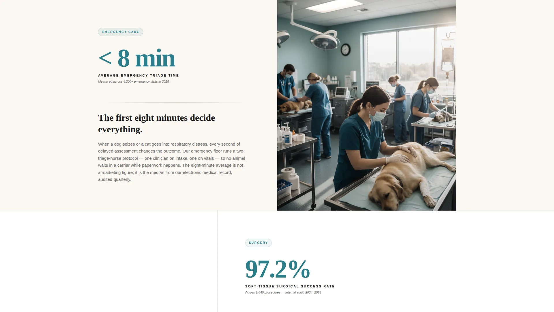 Authoritative Veterinary Clinic Landing Page Template