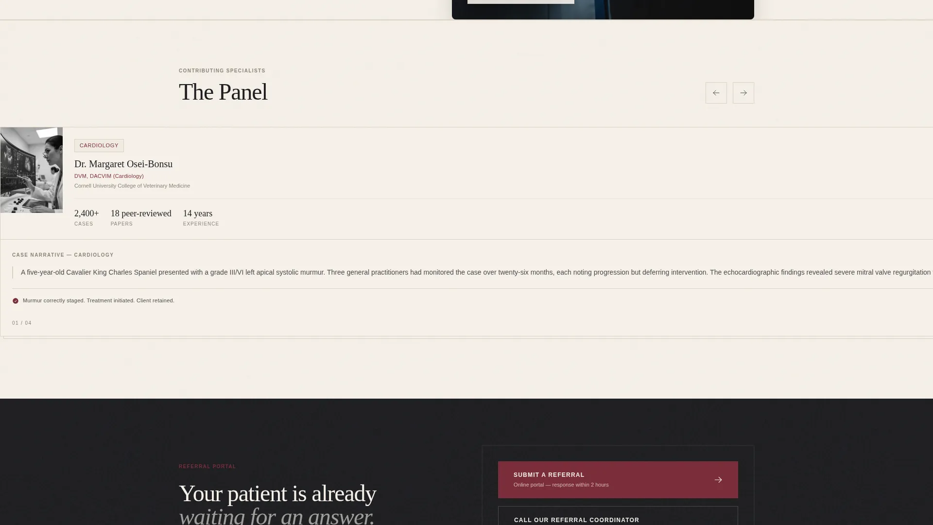 Veterinary Clinic Marketing Blog Website Template