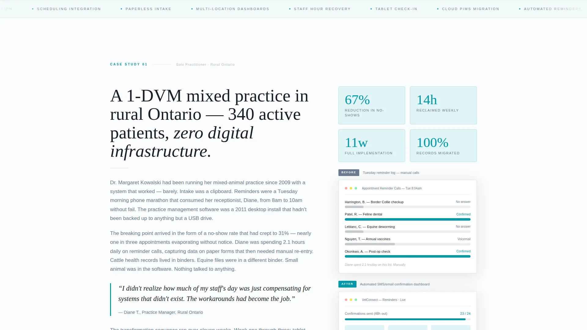 Veterinary Consulting Portfolio Website Template