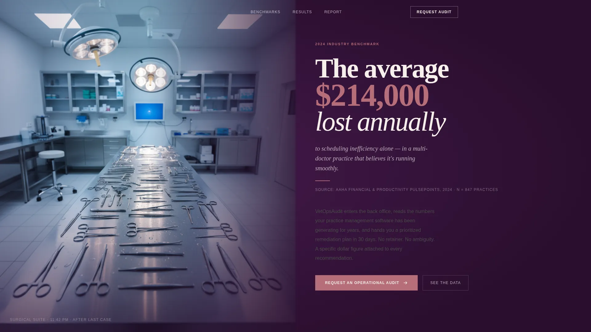 Veterinary Consulting Blog Website Template