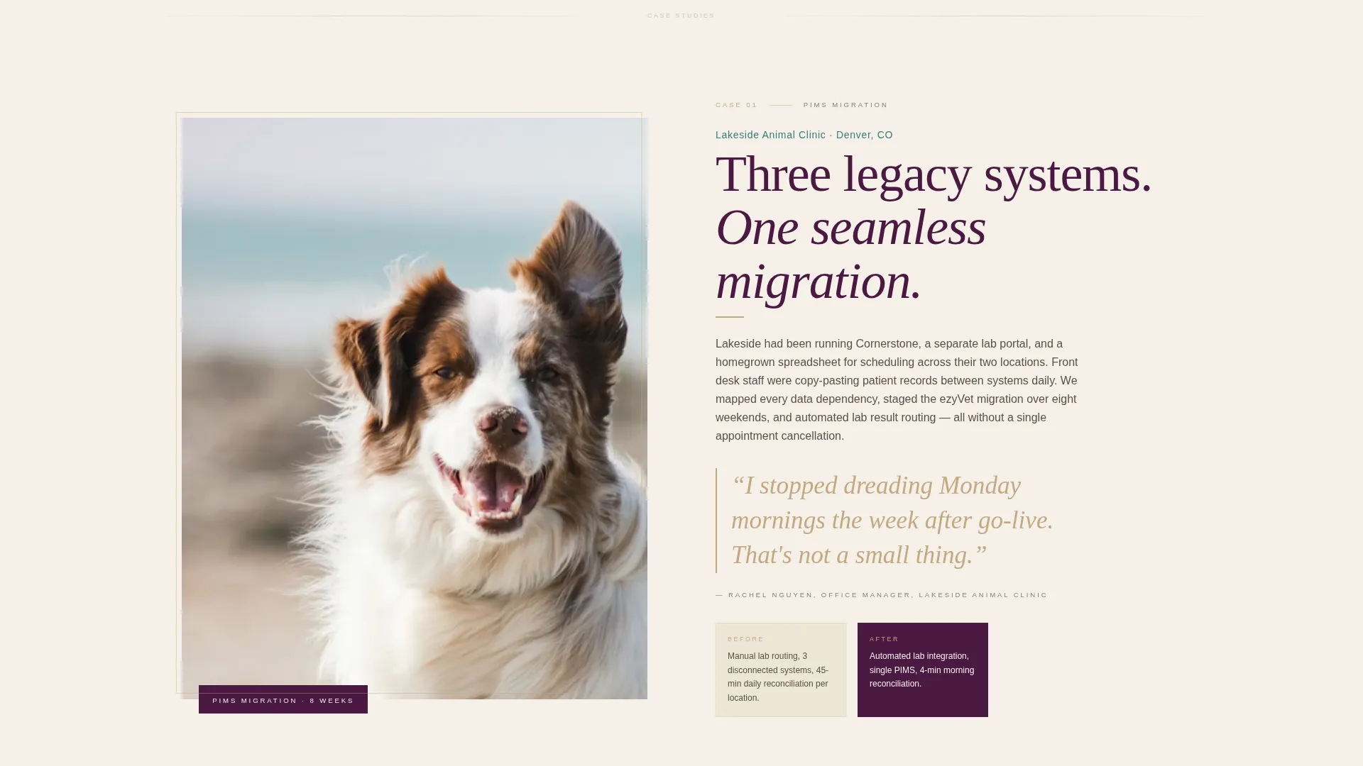 Veterinary Consulting Specialist Blog Website Template